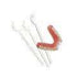 Itsoclear Molar Clasps – 2.2mm thick – 6/Pkg