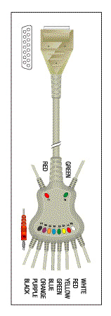 Patient Cable - 10 Lead Fixed Banana KKB003