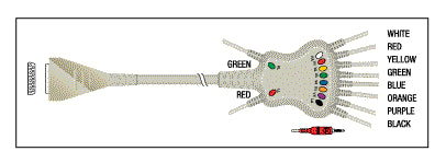 Patient Cable - 10 Lead Fixed Banana KKB012